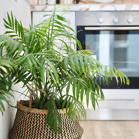 Exquisite 4-bedroom Prestige *