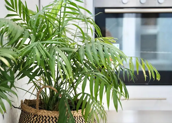 Exquisite 4-bedroom Prestige Rhodes *